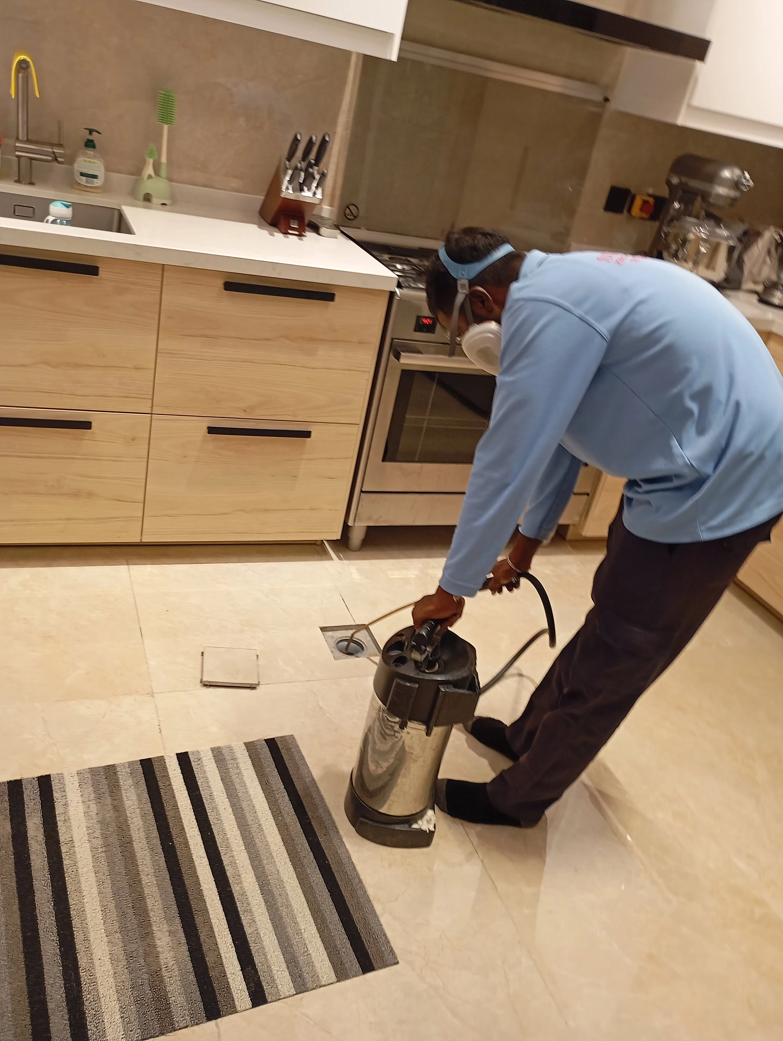 Project by Supreme Pest Control – verified on Check Trusty