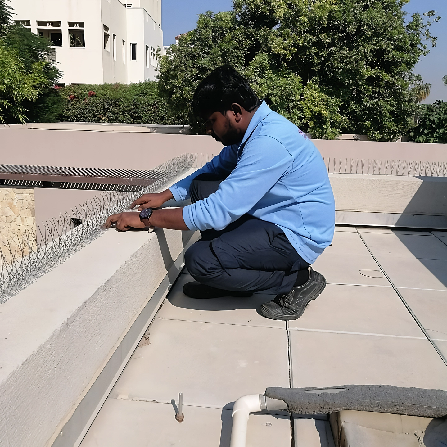 Project by Supreme Pest Control – verified on Check Trusty