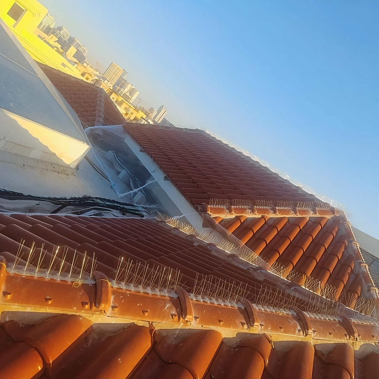 Project by Supreme Pest Control – verified on Check Trusty