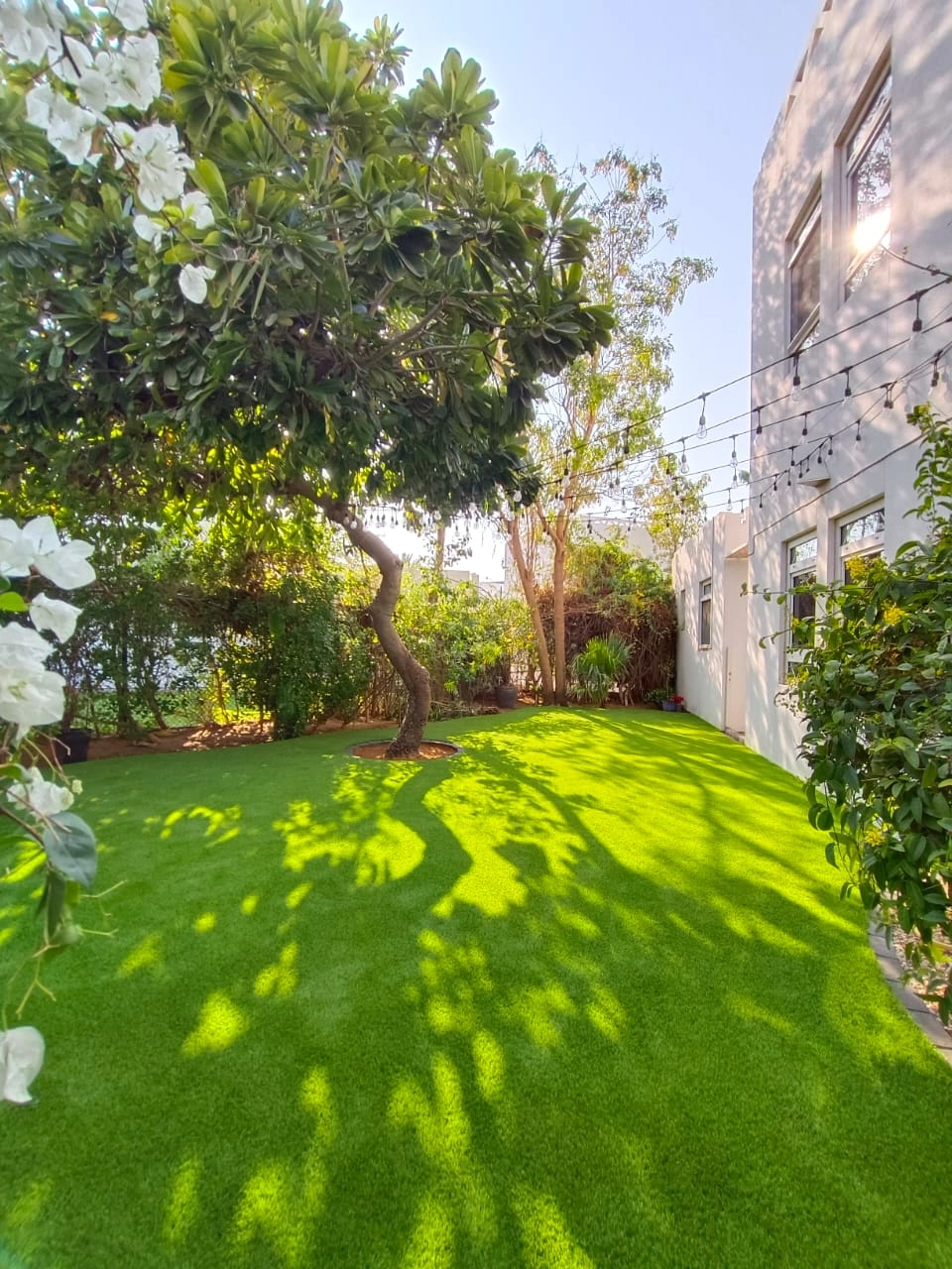 Project by Easigrass – verified on Check Trusty