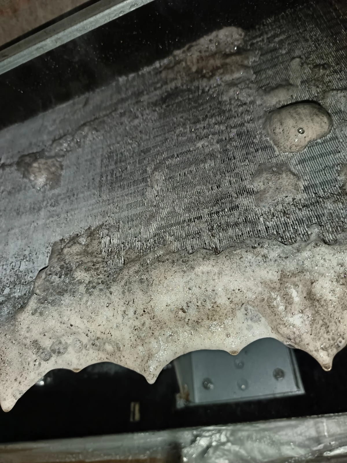 Project by Chill and Flow – verified on Check Trusty