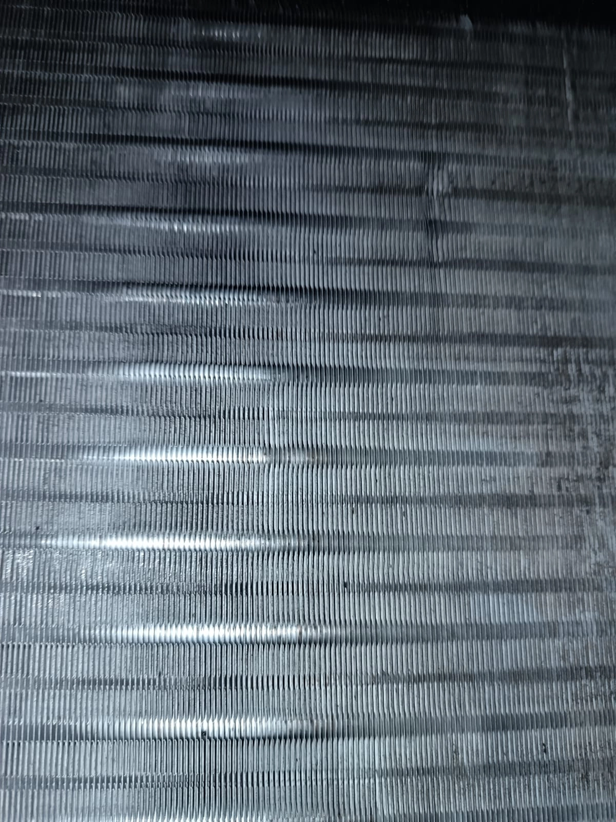 Project by Chill and Flow – verified on Check Trusty