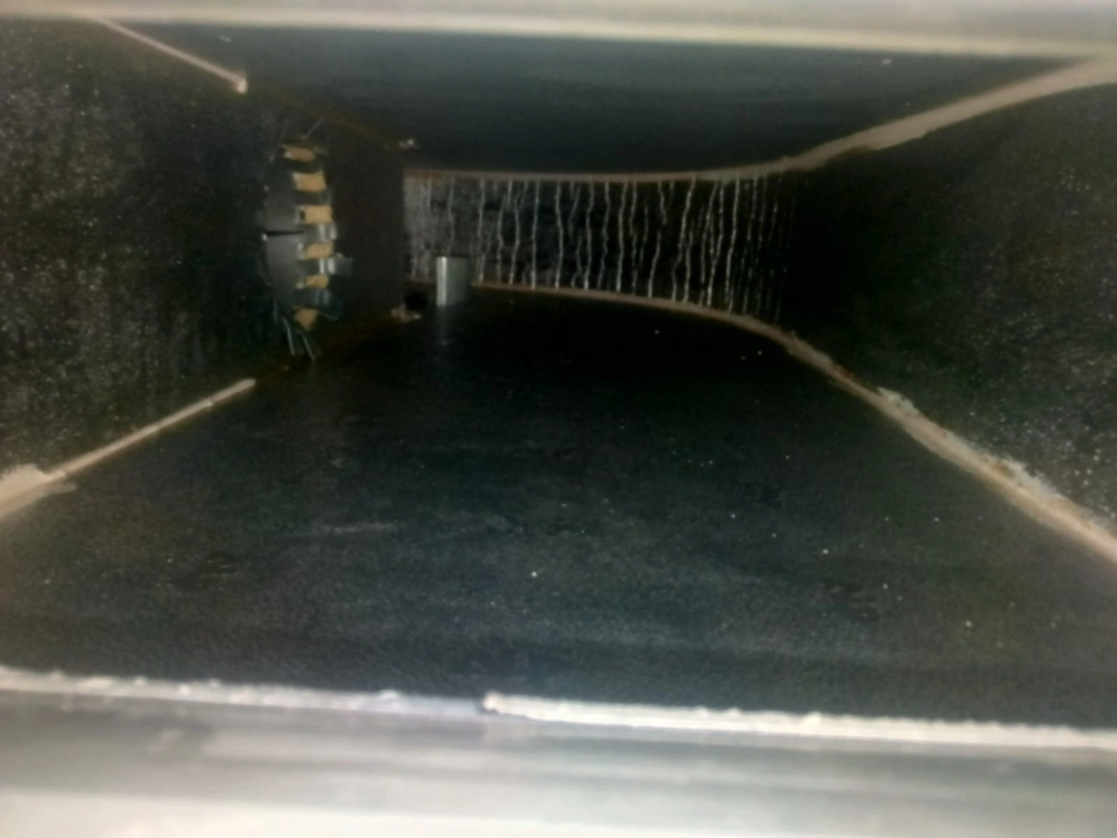 Project by Chill and Flow – verified on Check Trusty