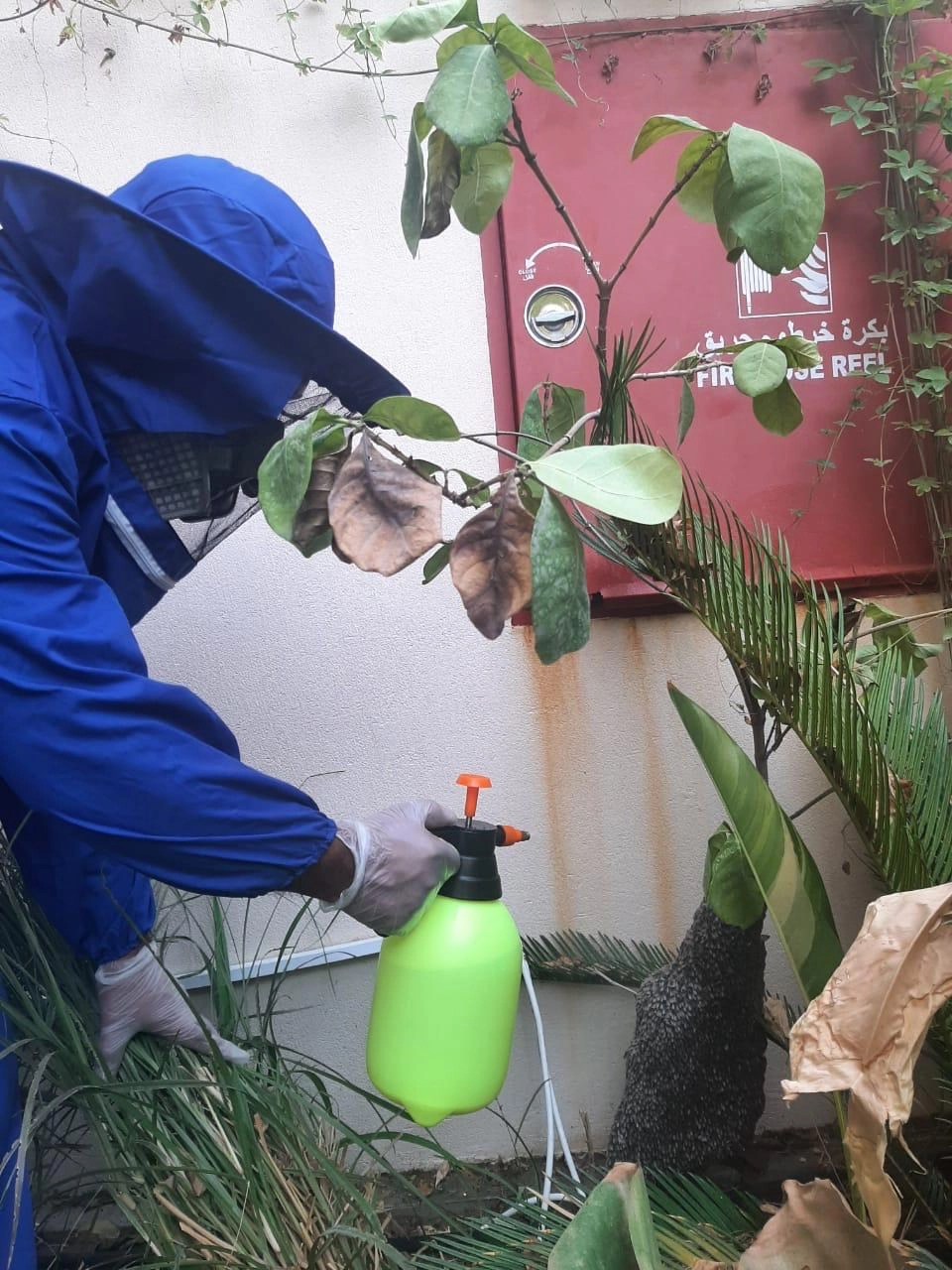 Project by Concept View Pest Control Services – verified on Check Trusty