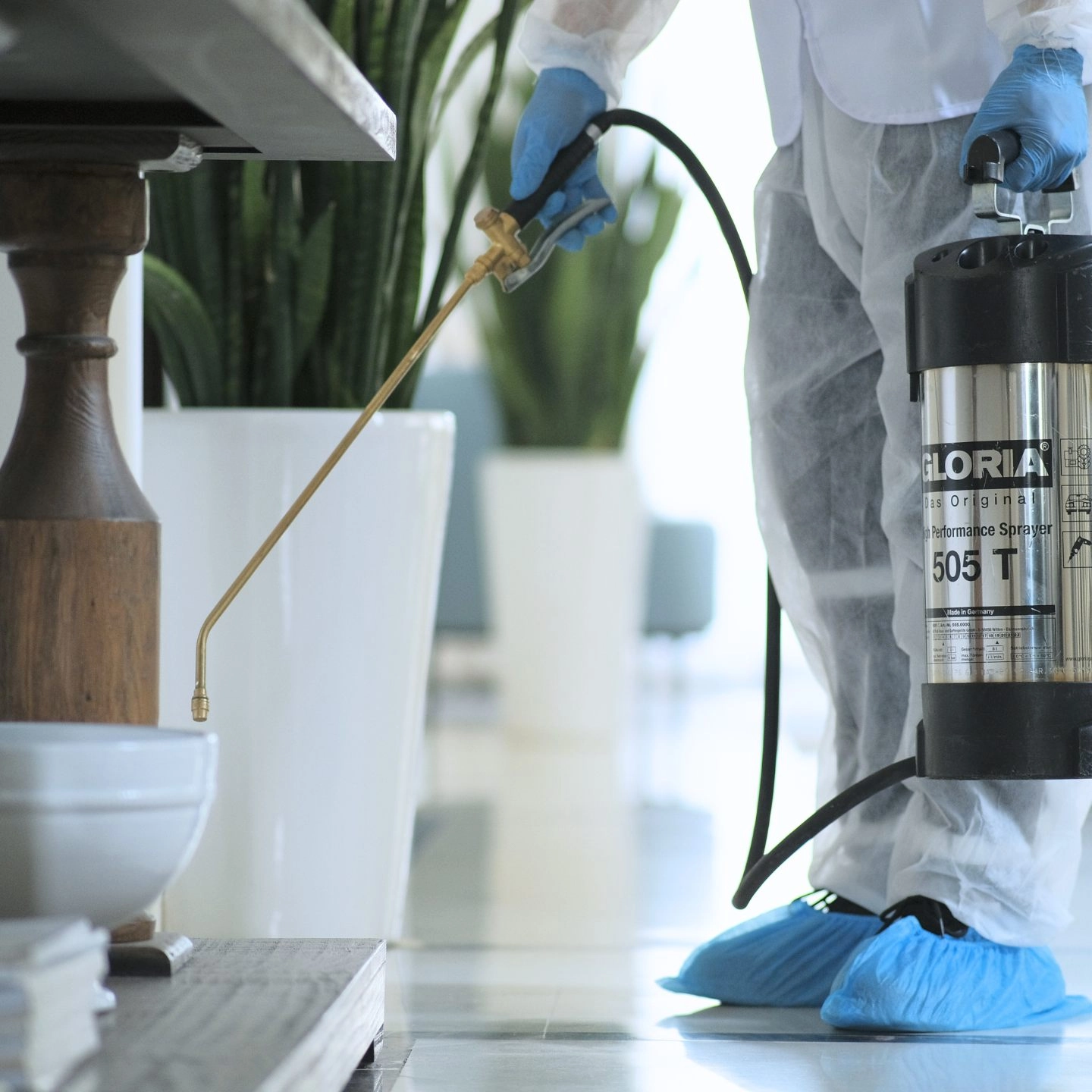 Project by The Healthy Home – verified on Check Trusty