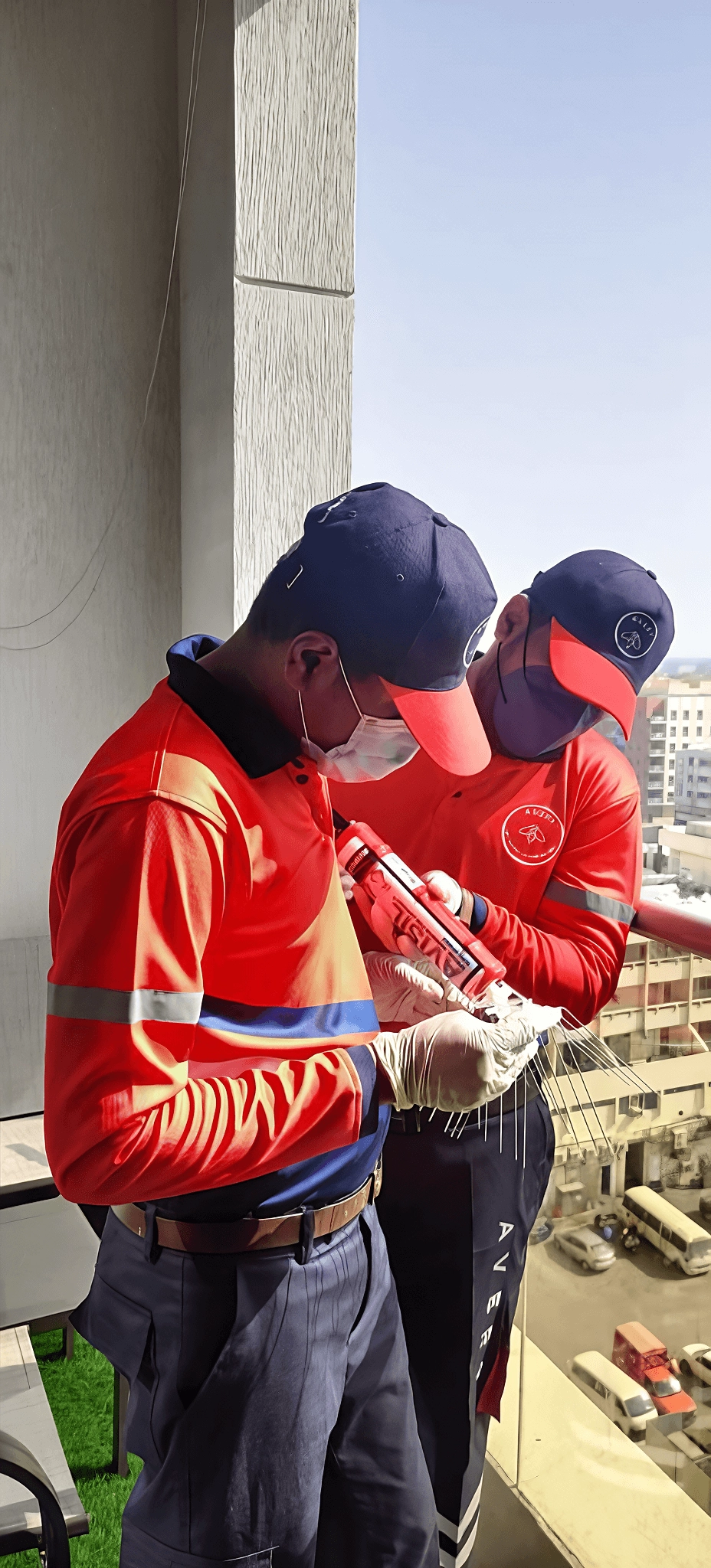 Project by Avert Pest Control – verified on Check Trusty