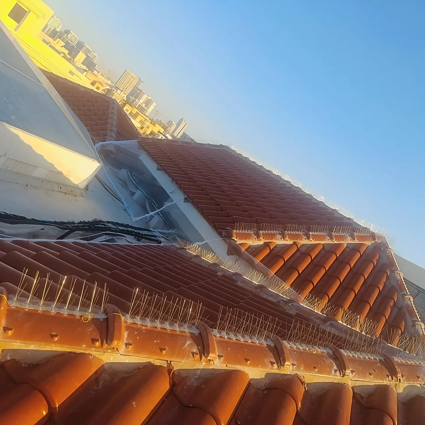 Project by Supreme Pest Control – verified on Check Trusty