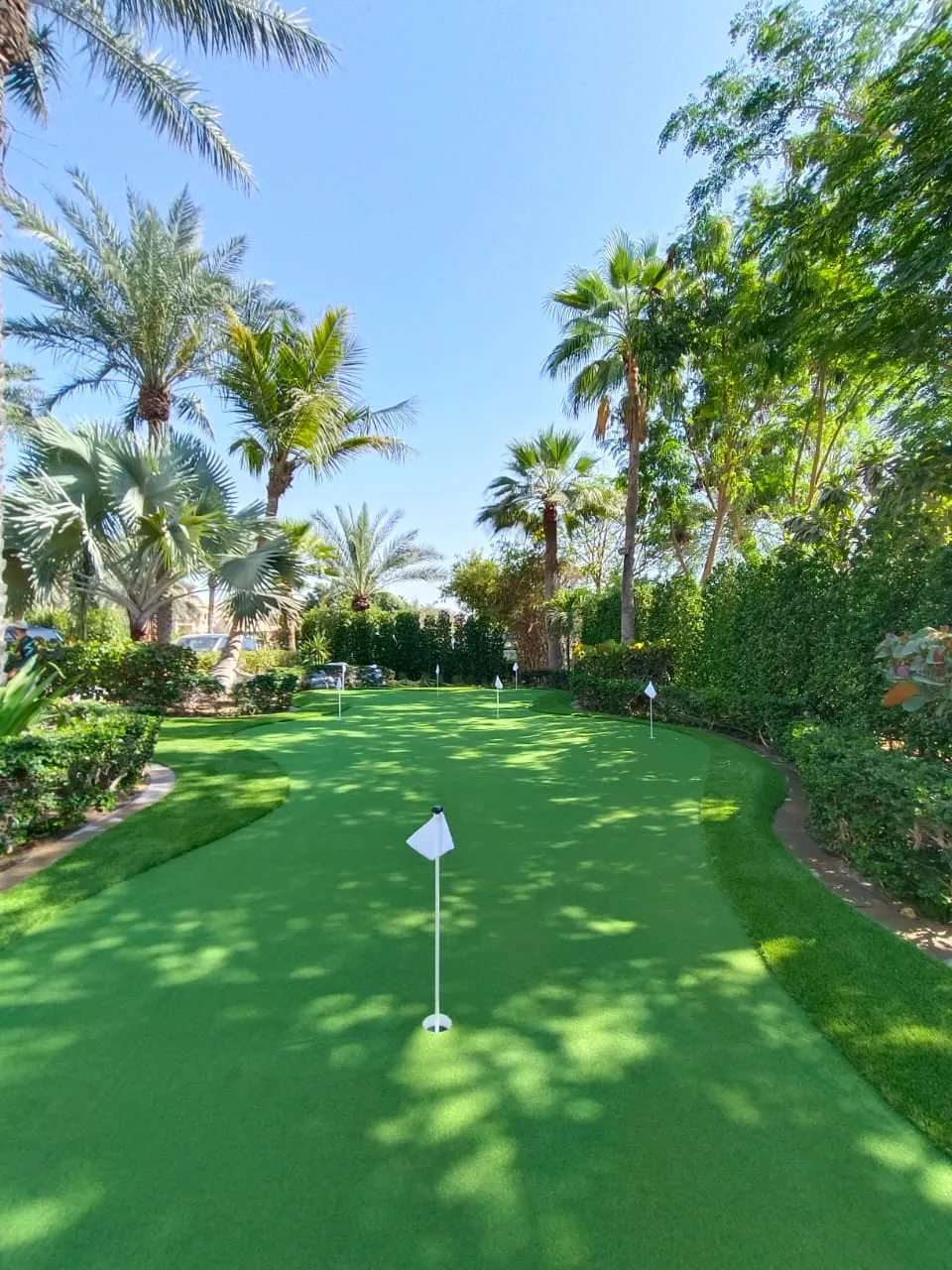 Project by Easigrass – verified on Check Trusty