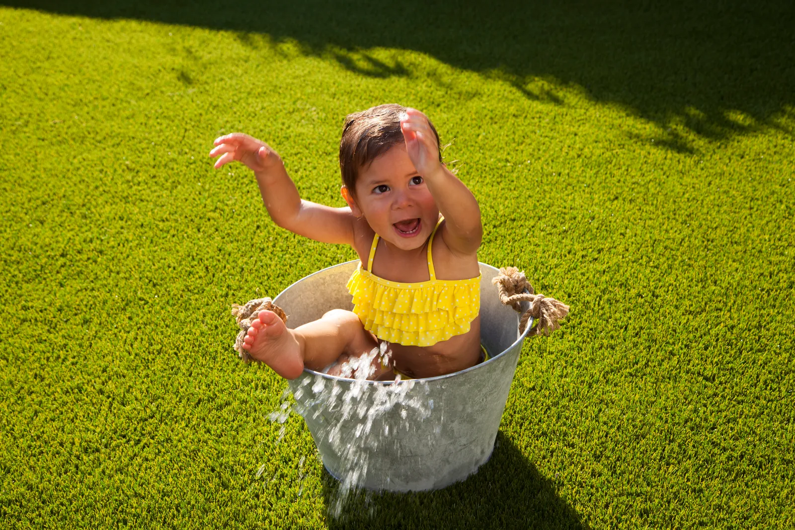 Project by Royal Grass – verified on Check Trusty