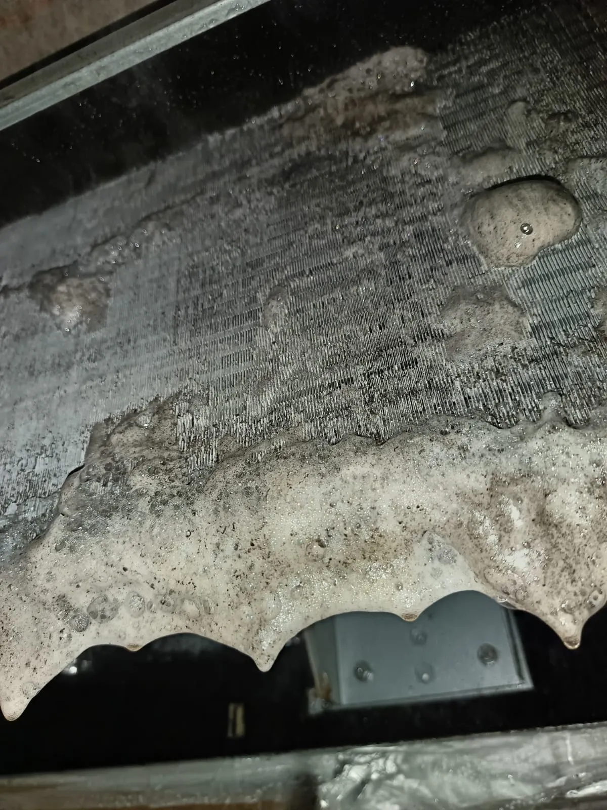 Project by Chill and Flow – verified on Check Trusty