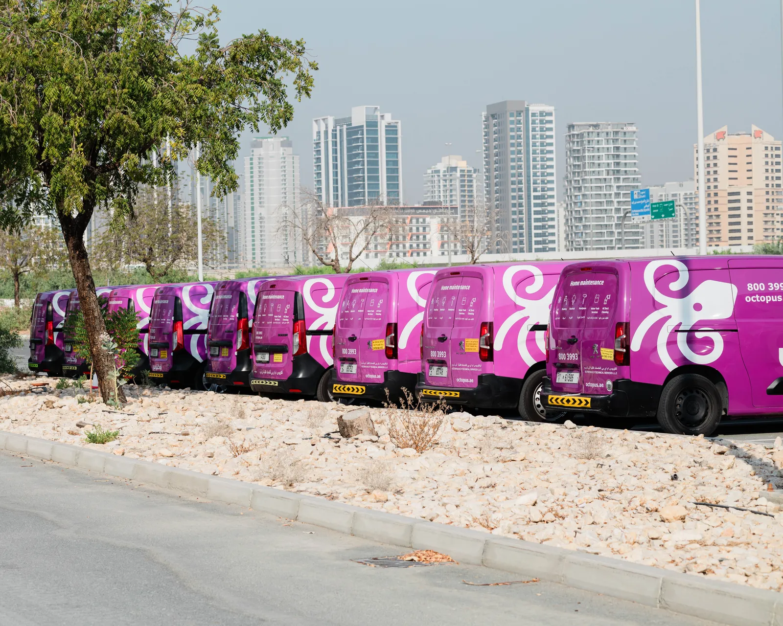 Project by Octopus – verified on Check Trusty