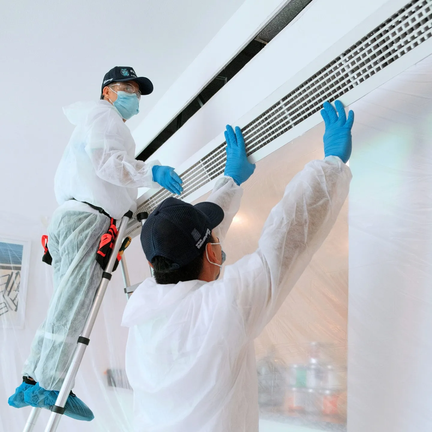 Project by The Healthy Home – verified on Check Trusty