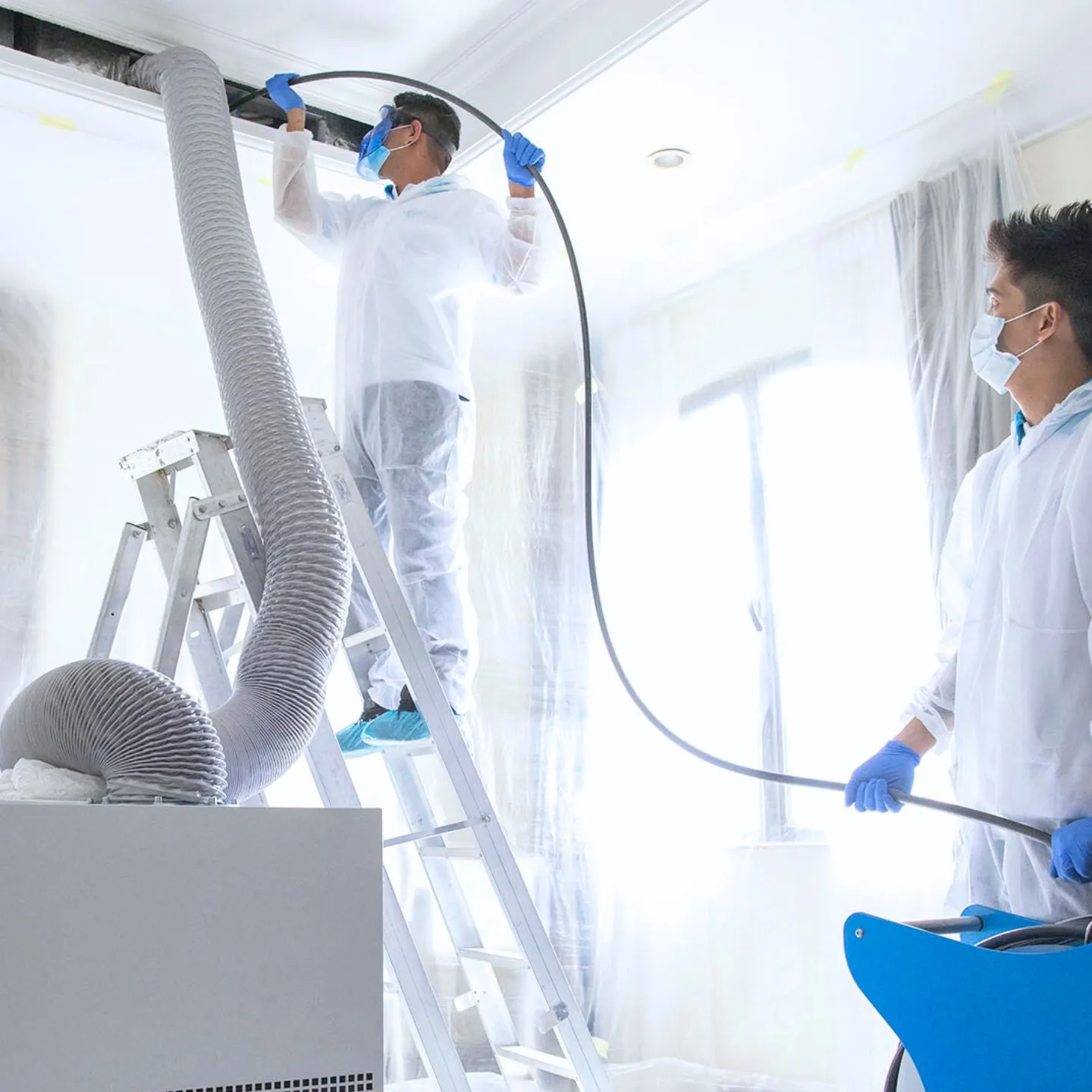 Project by The Healthy Home – verified on Check Trusty