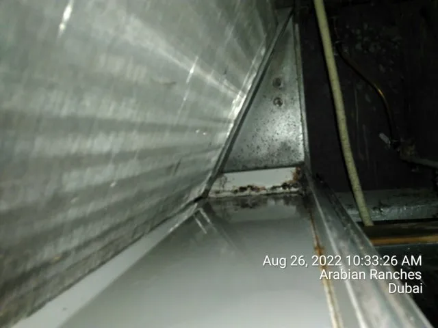 Project by The Healthy Home – verified on Check Trusty