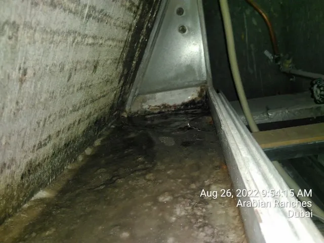 Project by The Healthy Home – verified on Check Trusty