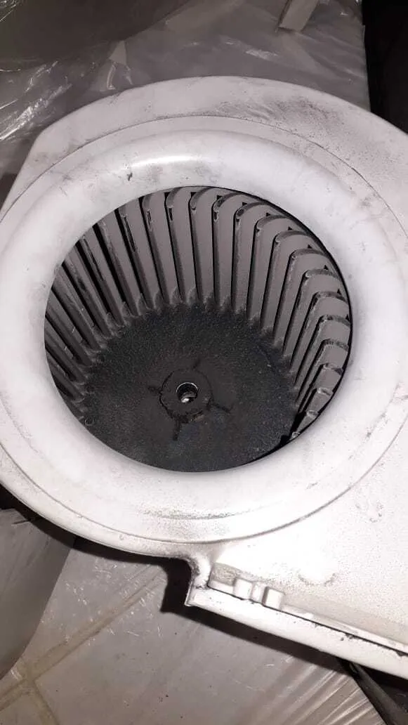 Project by The Healthy Home – verified on Check Trusty