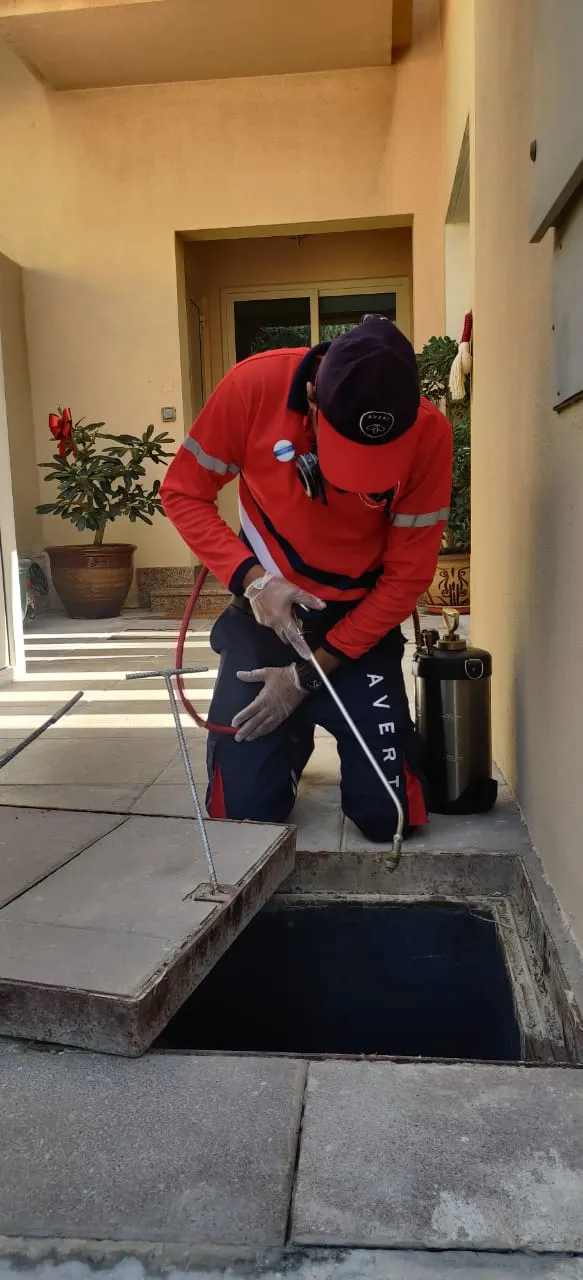 Project by Avert Pest Control – verified on Check Trusty