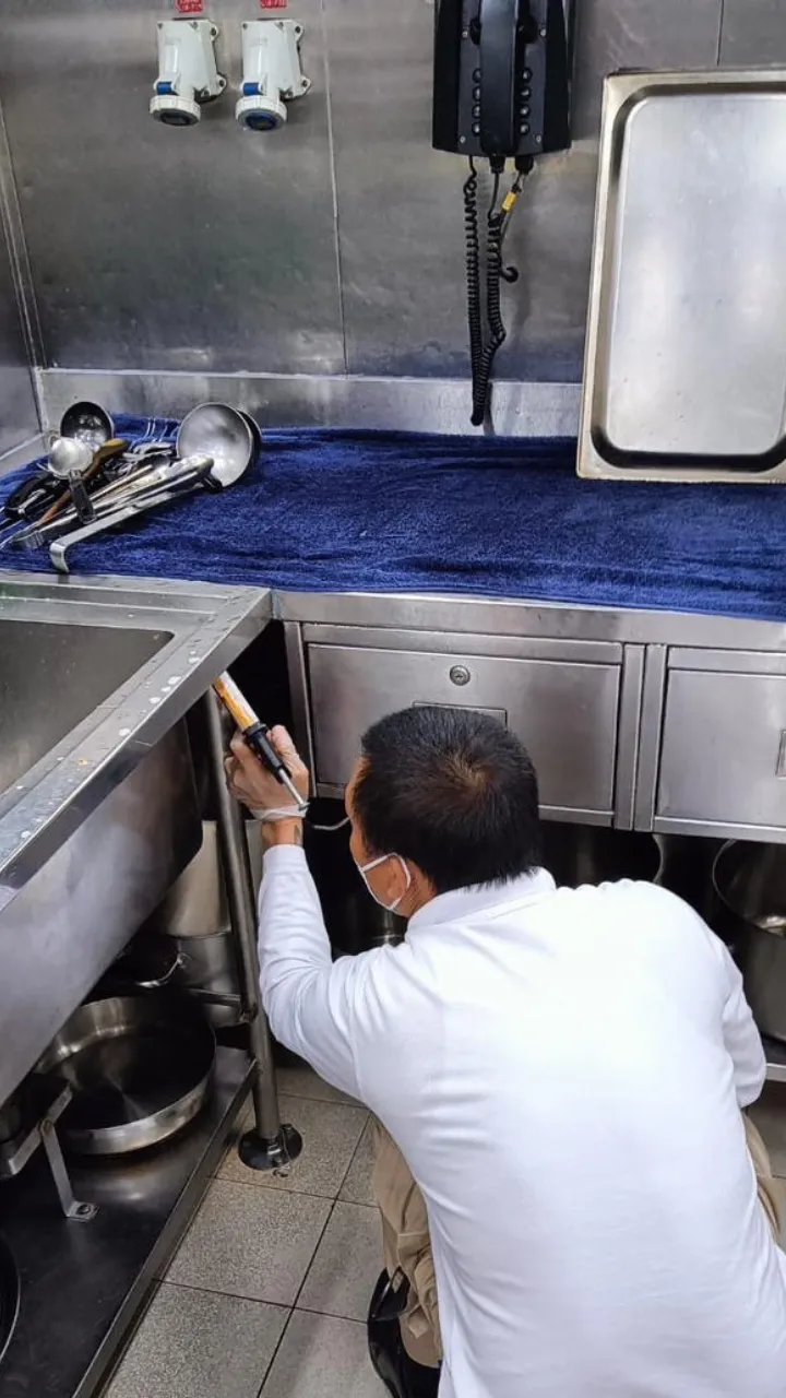 Project by Al Mobidoon Pest Control – verified on Check Trusty