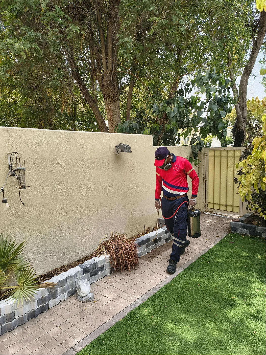 Project by Avert Pest Control – verified on Check Trusty