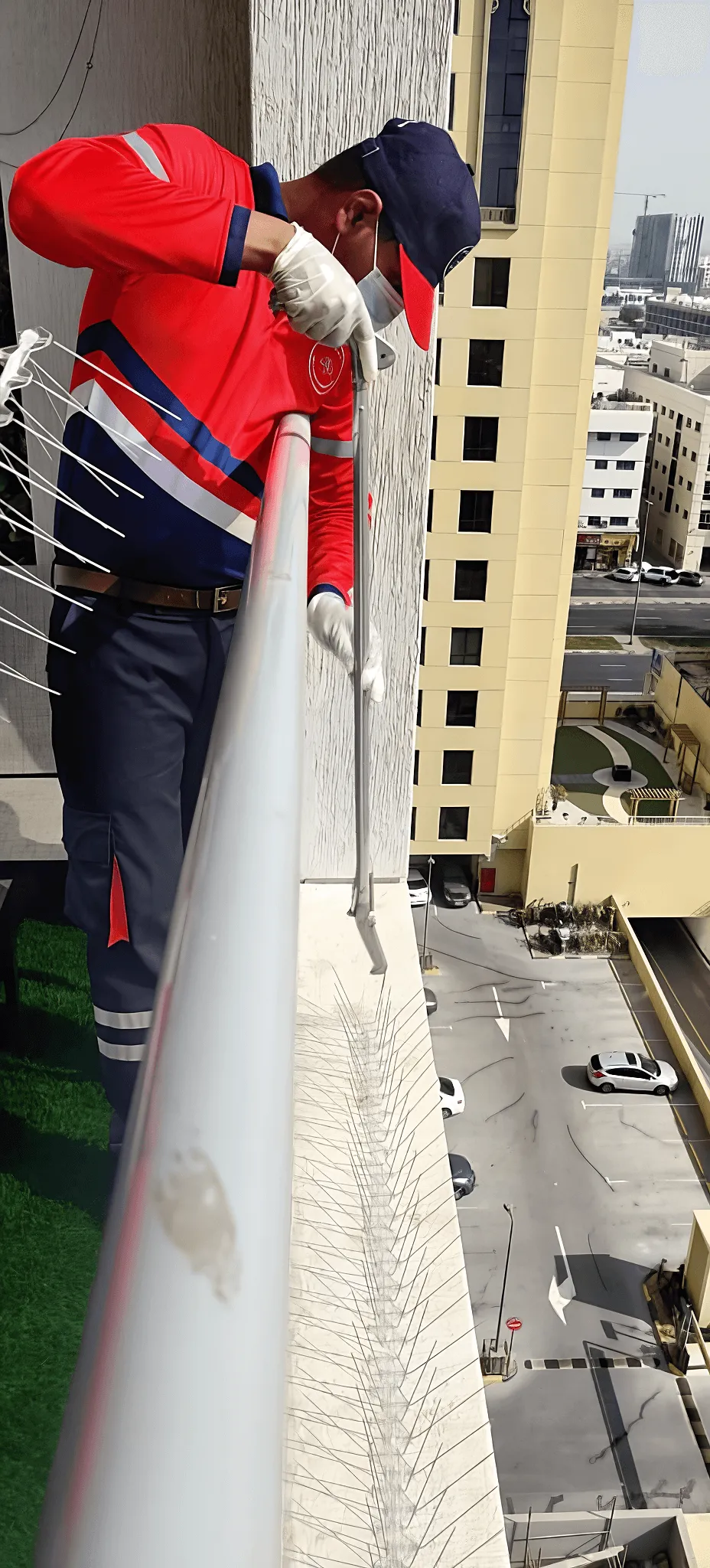 Project by Avert Pest Control – verified on Check Trusty