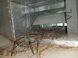 Customer review photo 3 of AC Servicing by Pro Clean AC in DAMAC Hills