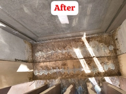 Customer review photo 1 of Pest Control by Avert Pest Control in Mira Oasis